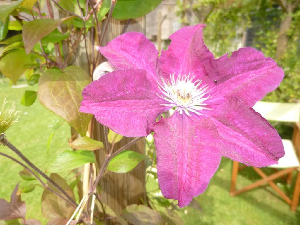 Church Hall Farm Bed And Breakfastスタンステッド近く 部屋 写真