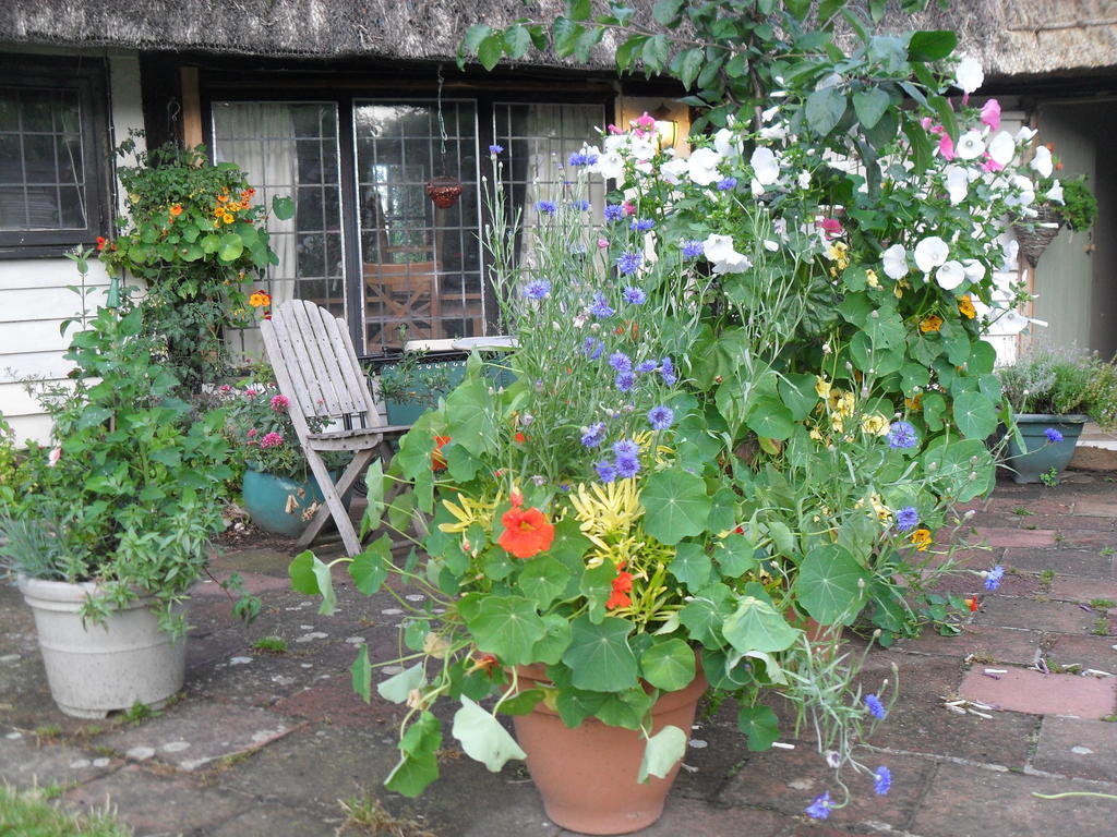 Church Hall Farm Bed And Breakfastスタンステッド近く エクステリア 写真